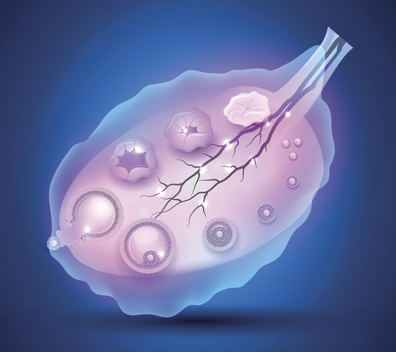 2026年兰州死精症试管医院排名与费用解析：附本地五家高性价比机构对比指南